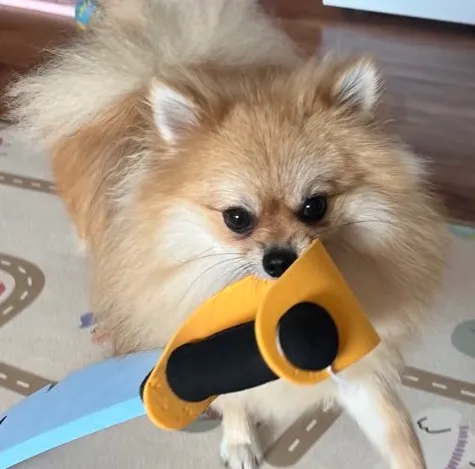 Profile Image of the Author